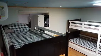 Dongbaekseom Guesthouse Hostel Hotel Busan