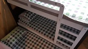 Dongbaekseom Guesthouse Hostel Hotel